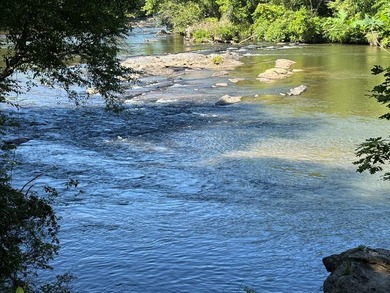 UN-RESTRICTED LOT on the Chattahoochee River!! Build your dream - photo 10