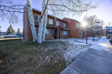 Village Lake Condo For Sale in Pagosa Springs Colorado