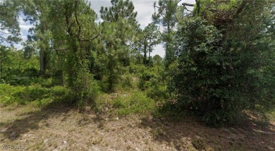Lehigh Acres Area Lot For Sale in Lehigh Acres Florida