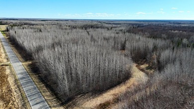 Seller financing is available with a Contract for Deed. Located - photo 11
