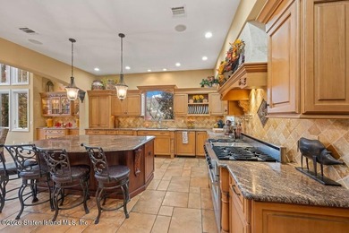 Luxury living at The Summit at Dongan Hills Colony. This - photo 13
