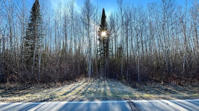 Seller financing is available with a Contract for Deed. Located - photo 25