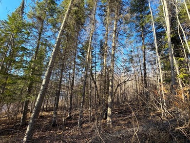 Seller financing is available with a Contract for Deed. Located - photo 32
