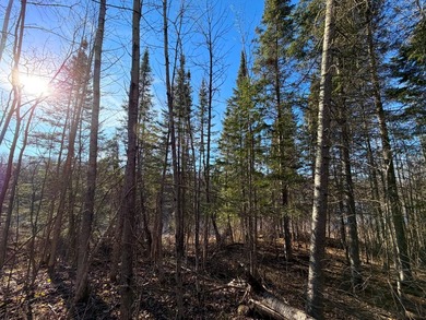 Seller financing is available with a Contract for Deed. Located - photo 33
