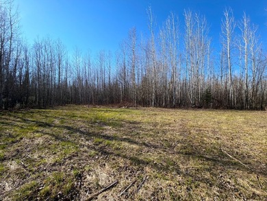 Seller financing is available with a Contract for Deed. Located - photo 40