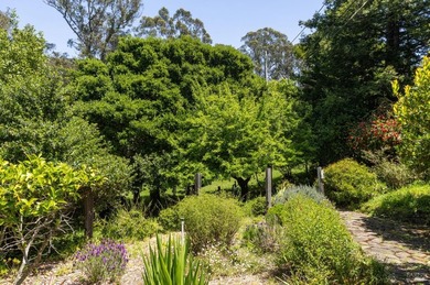 Set along the southern edge of the Olema Valley in Bolinas - photo 5