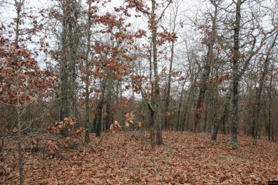 Lake Lot For Sale in Theodosia, Arkansas