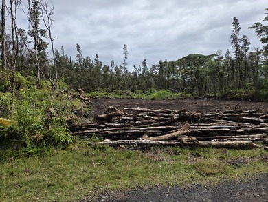 These two SxS lots have been cleared and are ready for your - photo 4