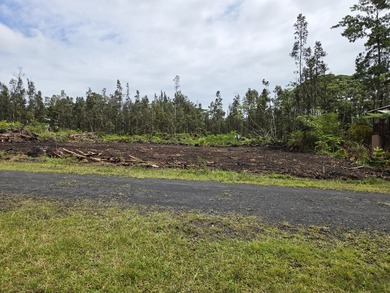 These two SxS lots have been cleared and are ready for your - photo 8