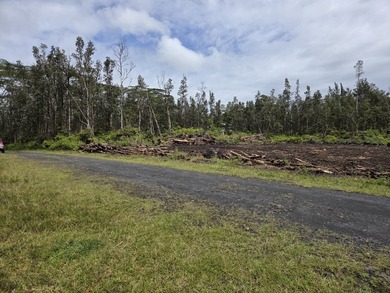 These two SxS lots have been cleared and are ready for your - photo 9