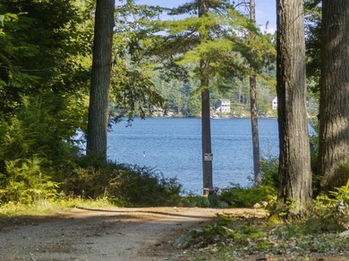 Lake Winnipesaukee Cottage with Deeded 24ft Boat Slip. Discover - photo 12
