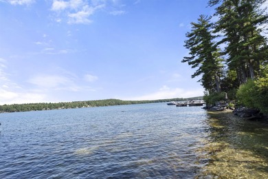 Lake Winnipesaukee Cottage with Deeded 24ft Boat Slip. Discover - photo 18