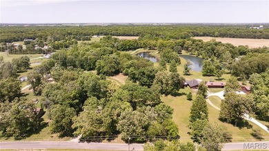 (private lake, pond, creek) Lot For Sale in Brighton Illinois