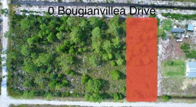 Lake Weohyakapka Lot For Sale in Indian Lake Estates Florida