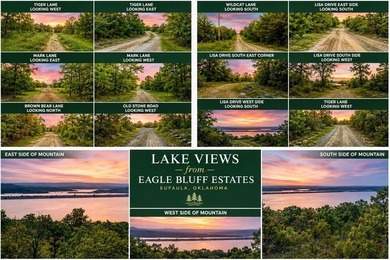 EAGLE BLUFF ESTATES ADDITION 3 - A rare large-scale development - photo 3
