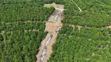 EAGLE BLUFF ESTATES ADDITION 3 - A rare large-scale development - photo 10