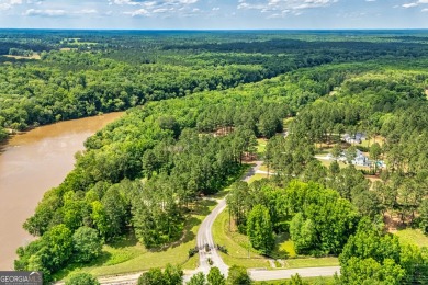 Lake Acreage For Sale in Concord, Georgia