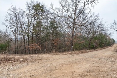 Bull Shoals Lake Acreage For Sale in Diamond City Arkansas