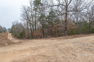 Nearly 11.76 acres located on Sunset Dr in Diamond City offering - photo 2