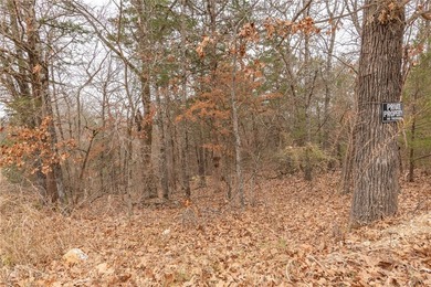 Nearly 11.76 acres located on Sunset Dr in Diamond City offering - photo 3