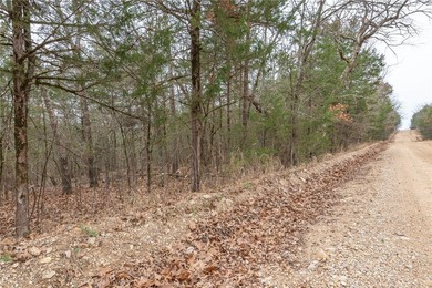 Nearly 11.76 acres located on Sunset Dr in Diamond City offering - photo 4