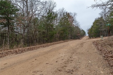 Nearly 11.76 acres located on Sunset Dr in Diamond City offering - photo 5