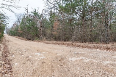 Nearly 11.76 acres located on Sunset Dr in Diamond City offering - photo 6