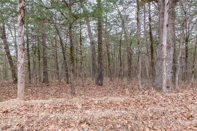 Nearly 11.76 acres located on Sunset Dr in Diamond City offering - photo 7