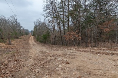 Nearly 11.76 acres located on Sunset Dr in Diamond City offering - photo 8