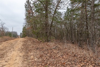 Nearly 11.76 acres located on Sunset Dr in Diamond City offering - photo 9