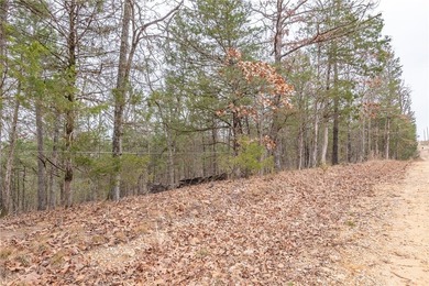 Nearly 11.76 acres located on Sunset Dr in Diamond City offering - photo 10