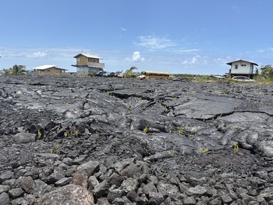 Own a piece of old Hawaii in the unique Kalapana Vacation Lots - photo 6