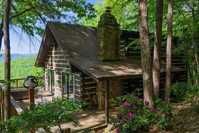 (private lake, pond, coastal) Home For Sale in Ellijay Georgia