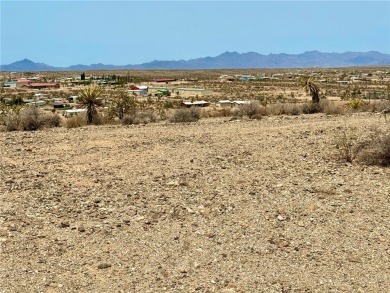 Lake Mead Lot For Sale in Meadview Arizona