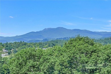 Experience elegant mountain living in this warm and inviting - photo 47