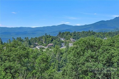 Experience elegant mountain living in this warm and inviting - photo 48