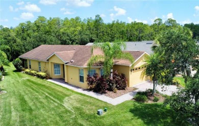 Lake Home For Sale in Poinciana, Florida