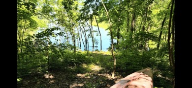 Your lakefront escape awaits! Call Josh! - photo 8