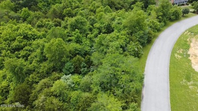 (private lake, pond, creek) Lot For Sale in Tazewell Tennessee