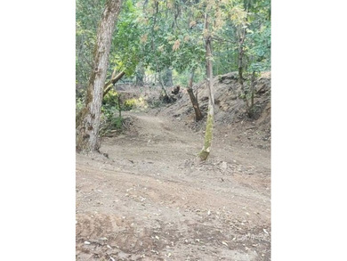 Just 5 miles from Weaverville and easy access to Hwy 299, this - photo 39