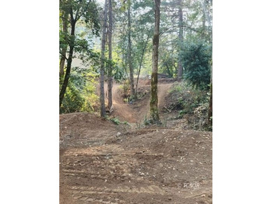 Just 5 miles from Weaverville and easy access to Hwy 299, this - photo 40