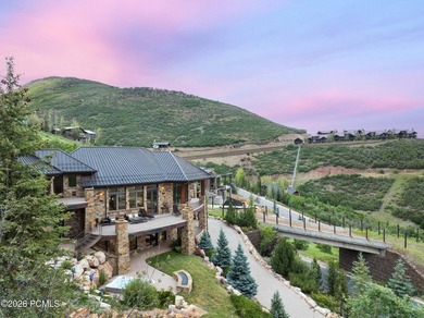 Experience the pinnacle of mountain living in this luxury custom - photo 47