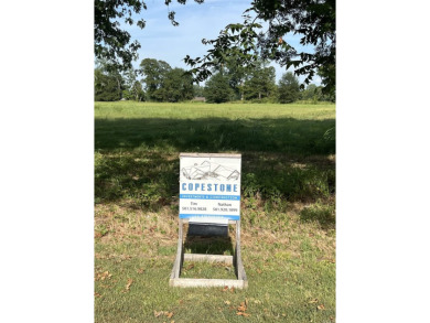 Lake Lot For Sale in Scott, Arkansas