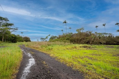 Discover the potential of this private 5-acre property in upper - photo 1