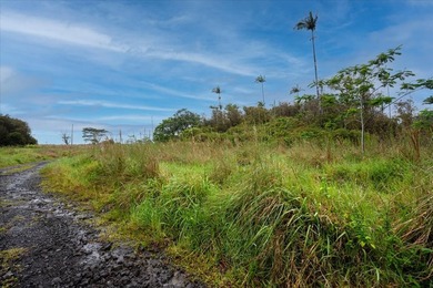 Discover the potential of this private 5-acre property in upper - photo 4