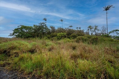 Discover the potential of this private 5-acre property in upper - photo 5
