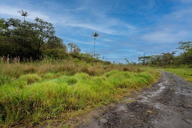 Discover the potential of this private 5-acre property in upper - photo 6