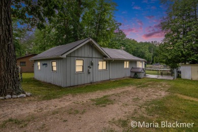 Lake Home For Sale in Stanton, Michigan