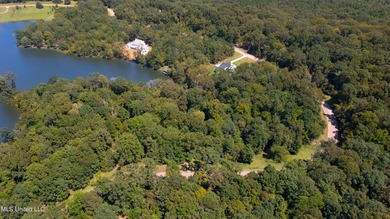 Take advantage of this once-in-a-lifetime opportunity to build - photo 2