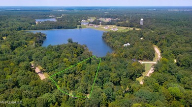 Take advantage of this once-in-a-lifetime opportunity to build - photo 6